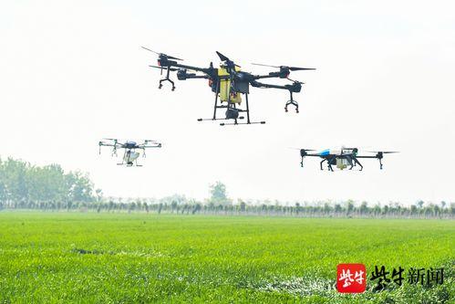 十大无人机爆料视频下载  第1张